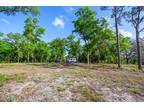 Plot For Sale In Melrose, Florida