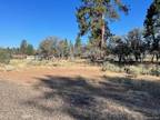 Plot For Sale In Susanville, California