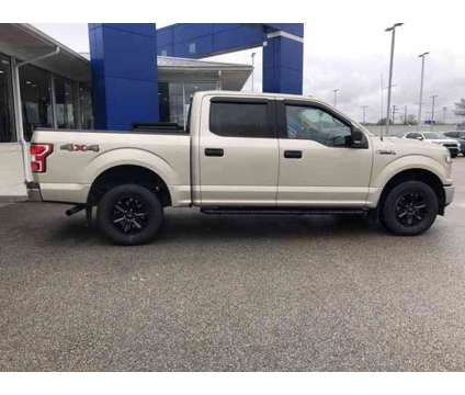 2018 Ford F-150 XLT is a Gold, White 2018 Ford F-150 XLT Truck in Saint Albans WV