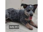 Sally M 3