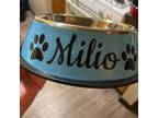 Milio