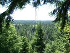 Plot For Sale In Florence, Oregon