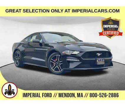 2019UsedFordUsedMustangUsedFastback is a Black 2019 Ford Mustang EcoBoost Car for Sale in Mendon MA