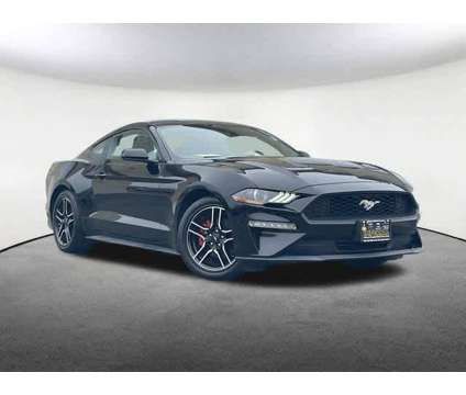 2019UsedFordUsedMustangUsedFastback is a Black 2019 Ford Mustang EcoBoost Coupe in Mendon MA