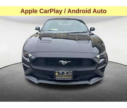 2019UsedFordUsedMustangUsedFastback is a Black 2019 Ford Mustang EcoBoost Coupe in Mendon MA