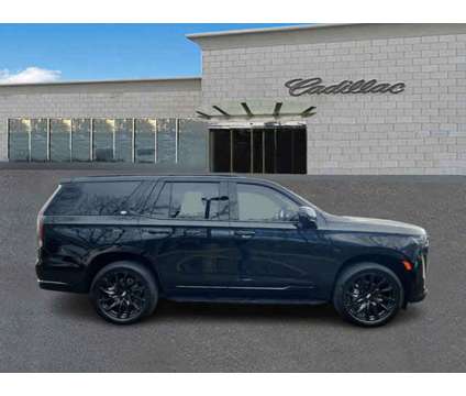 2023 Cadillac Escalade 4WD Sport Platinum is a Black 2023 Cadillac Escalade 4WD Car for Sale in Trevose PA