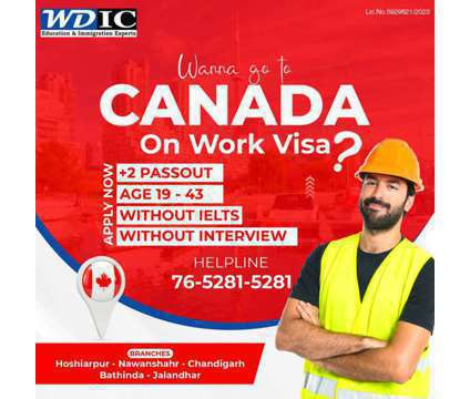 Canada Work Visa Consultant in Punjab is a Travel Services service in Hoshiarpur PB