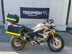 2023 Triumph Tiger 900 Rally Pro