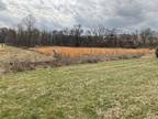 Plot For Sale In Spring Hill, Tennessee