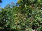 Plot For Sale In Gatlinburg, Tennessee