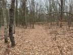 Plot For Sale In Muskegon, Michigan