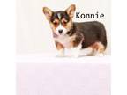 Konnie