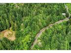 Plot For Sale In Skamania, Washington