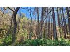 Plot For Sale In Granite Falls, North Carolina