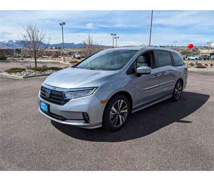 2024 Honda Odyssey Touring is a Silver 2024 Honda Odyssey Touring Car for Sale in Colorado Springs CO