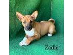 Zadie