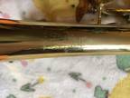 Vintage Brass Coronet Horn with Case And Valve Oil