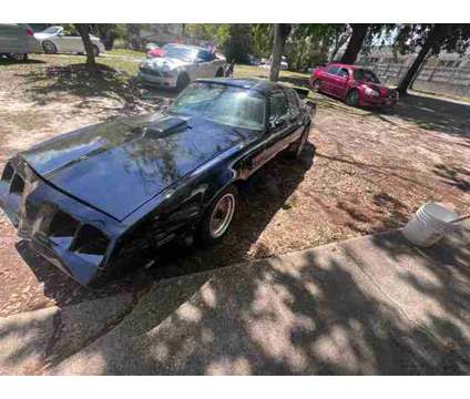 1981 Pontiac Firebird Trans Am Special Ed Coupe for sale is a Black 1981 Pontiac Firebird Trans Am Coupe in Mobile AL