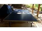 Indoor/Outdoor Ping Pong table