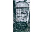 Extra Large Dome bird cage