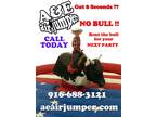 Mechanical Bull Rental