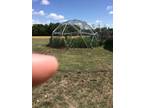 Dome Chicken Pen