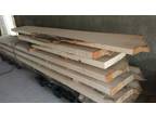 Willow Oak Slabs