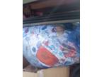 Baby swing and baby bed set and riding toy and clothes and two seated stroller