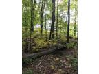 Plot For Sale In Wilbraham, Massachusetts