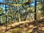 Plot For Sale In Orcas Island, Washington