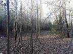 Plot For Sale In Gray Court, South Carolina