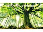 Tree Care Services from ARBOR CORRECTIONS