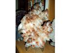 Exceptionally, Gorgeous and Beautiful Massive Chinese Calcite Crystal Cluster