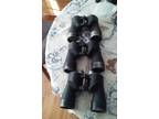 Military WW II US Navy Binoculars