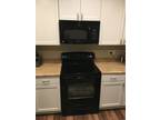 Black electric range and microwave