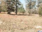 Plot For Sale In Mullins, South Carolina