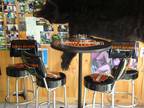 Harley Davison Bar Table, Four Swivel Stools $525 / OBO