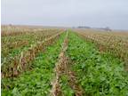 To Increase Soil Productivity Use Cover Crop Seed by Forage Complete