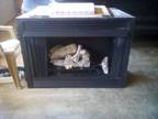 Vent-Less Fireplace