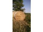 22 large, double wrapped straw bales