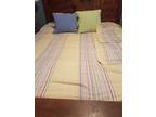 Pottery Barn King Size Duvet with Shams