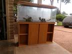 Fish tank