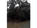Plot For Sale In High Springs, Florida