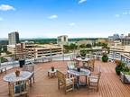 Condo For Rent In Austin, Texas