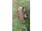 1975 Ford divorsed transfer case