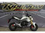 NEW 2018 Honda Grom in Jacksonville FL RideNow PowerSports Jacksonville