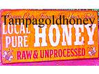Local Raw Tampa Honey for Sale Near +Tampa