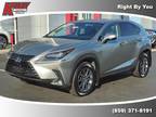 2018 Lexus NX 300 F SPORT