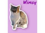 Adopt Wimsy a Manx / Mixed (short coat) cat in Nashville, GA (38530561)