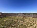 Plot For Sale In Robbins, Tennessee
